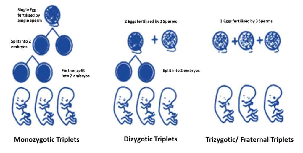 Types of Triplets