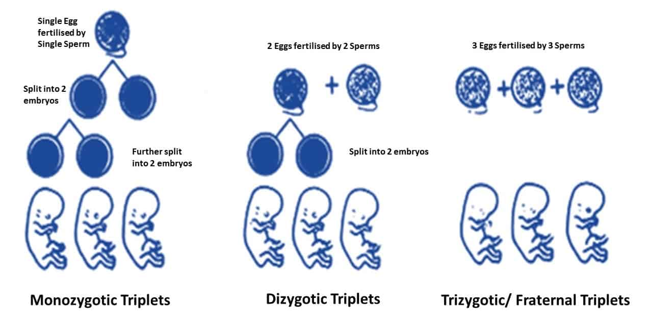 identical-triplets-myth-or-reality-can-triplets-be-identical