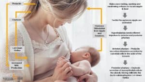 Let-down reflex breastfeeding parentingnmore