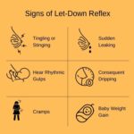 Your Absolute Guide To Simplify Let-Down Reflex (Milk Ejection Reflex ...