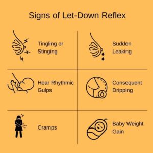 Your Absolute Guide To Simplify Let-Down Reflex (Milk Ejection Reflex ...