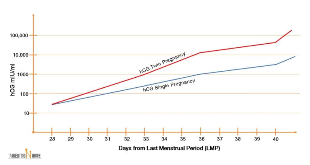 hCG levels twins Chart by week/ days