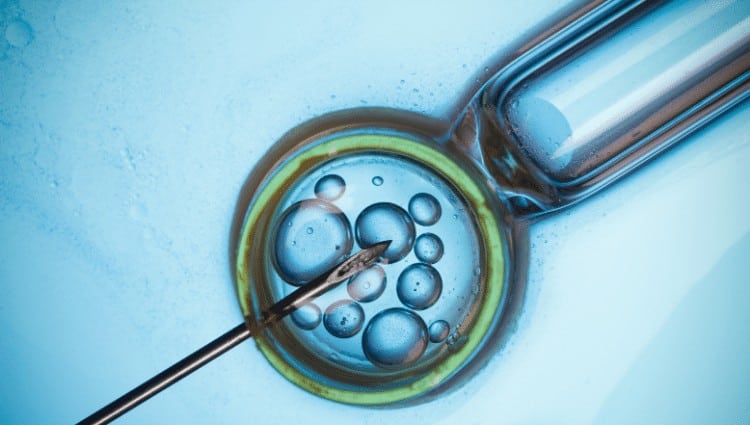 How to have twins - IVF