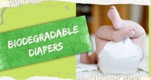 12 Best Biodegradable Diapers