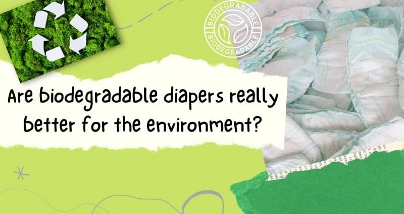 Eco friendly Diapers