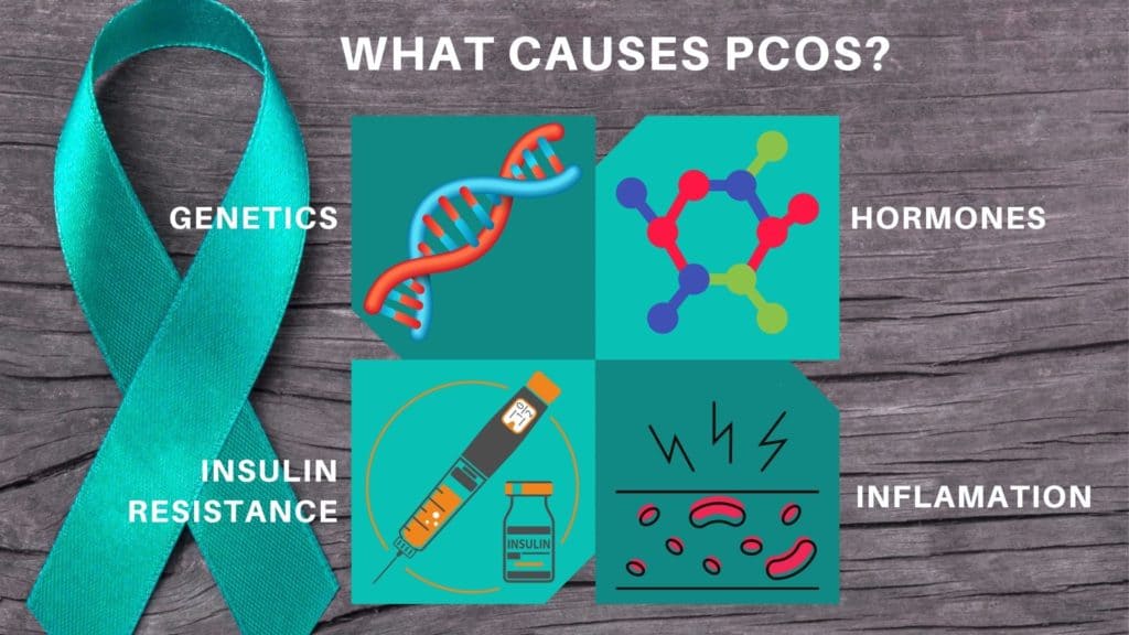 PCOS Awareness - PCOS Causes