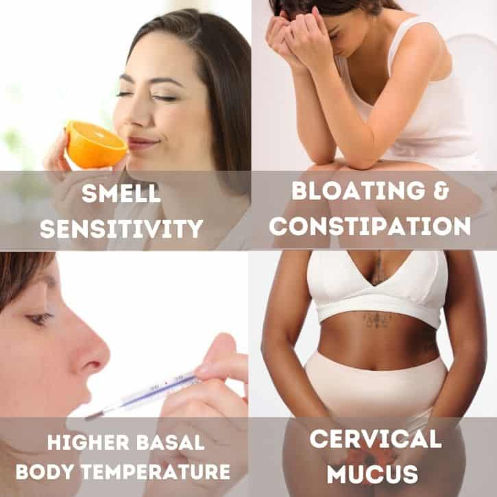 probable signs of pregnancy - early signs of pregnancy