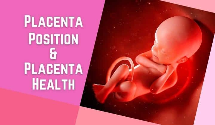 Placenta Placement