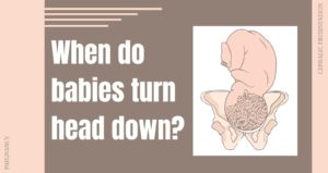 When do babies turn head down - Cephalic Position
